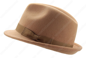 brown fedora hat