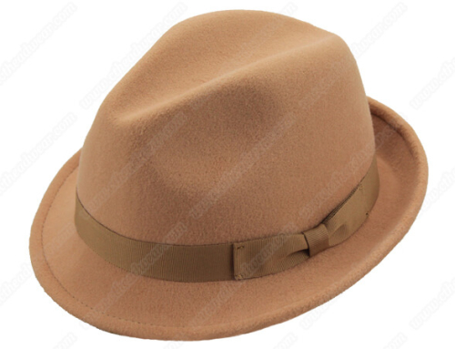 Brown fedora hat