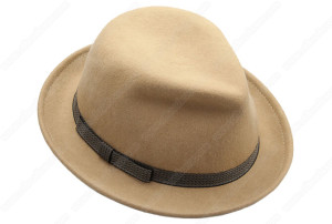 100% wool wide brim fedora hat